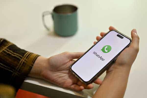 Gerenciador De WhatsApp Business: Como Escolher O Ideal Para Sua Equipe? - NexBlog