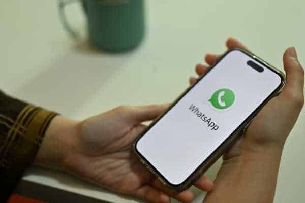 Best Chatbots for WhatsApp: How to Choose the Ideal Solution - NexBlog
