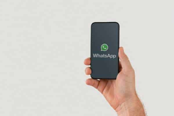 Enviar Mensajes en WhatsApp