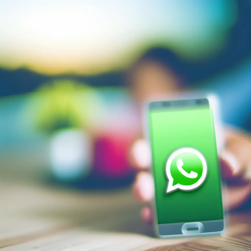 How Many People Can Use the Same WhatsApp Business Account? | The Truth About Shared Use