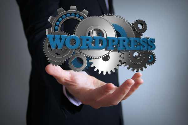 WhatsApp Chatbot WordPress: Easy and Fast Integration - NexBlog