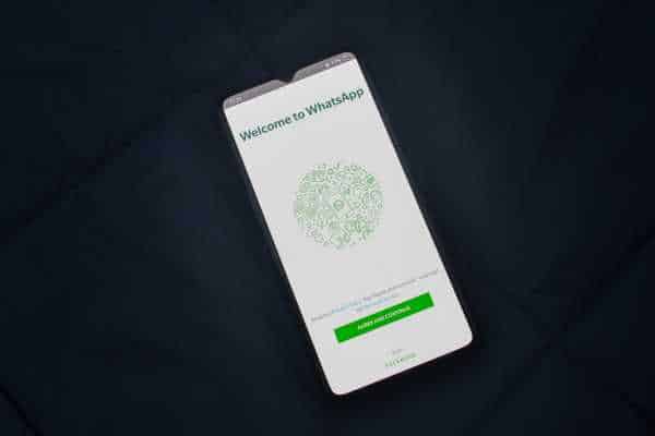 WhatsApp Messaging Trigger: How to Choose the Best One - NexBlog